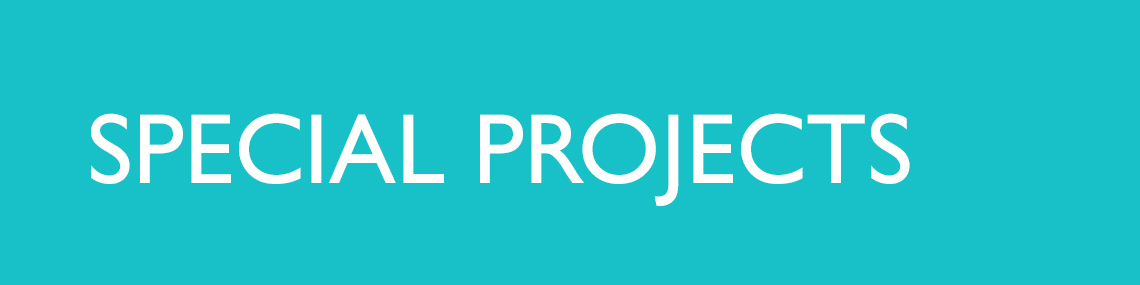title_special-projects